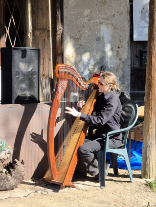 Vittoria Buzzi - ARPA celtica e classica - Solo o Duo con flauto traverso — photo 7