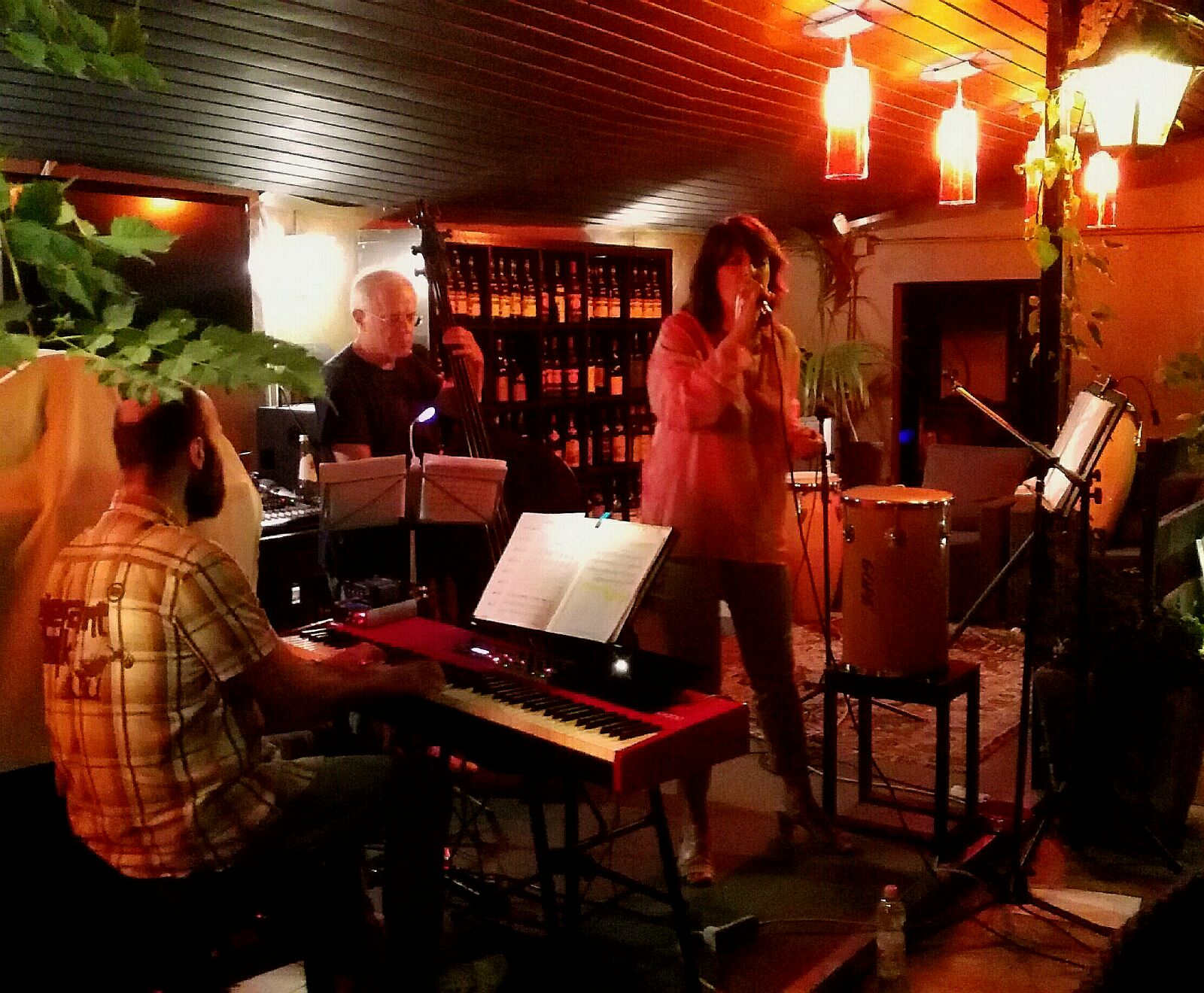 Patrizia Di Malta Ensemble — photo 9