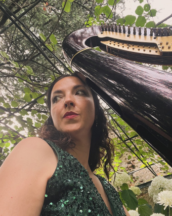 Elisa - Arpa classica e celtica - Solo o Duo con violino — photo 3