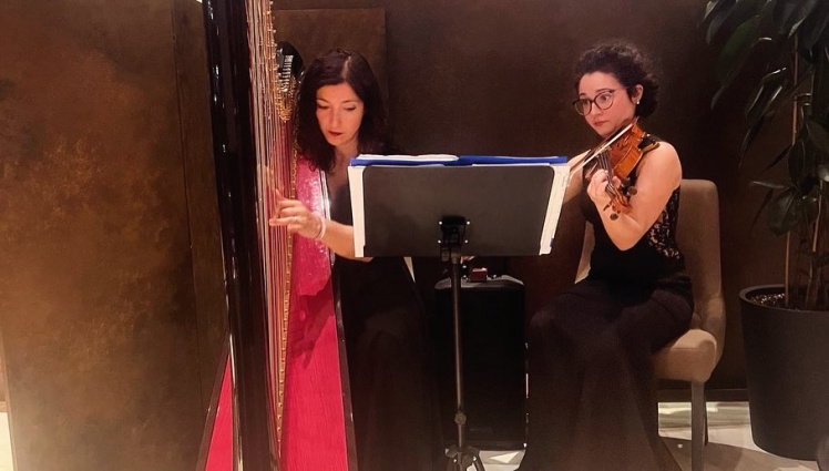 Elisa - Arpa classica e celtica - Solo o Duo con violino — photo 4