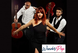 WONDER POP - Acoustic trio