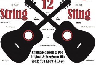 12 String Sting