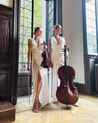 Anastasia Violin — photo 10