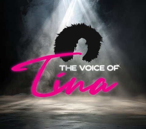 The Voice of Tina - die Tina Turner Show — photo 4