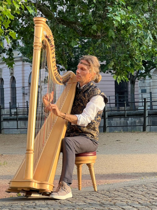 Serenade Avenue — photo 14